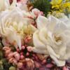 blossomevelvet
